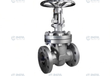 ANSI Cast STEEL Gate Valve-steellab