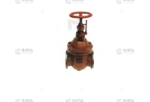 Cast Iron Gate Valve01-steellab