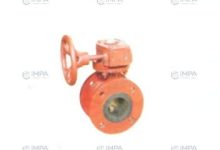 Center Type Double Flange Worm Drive Butterfly Valve-steellab