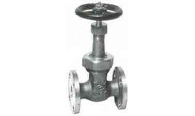 750961 GATE VALVE BRONZE FLANGED-END, RISING-STEM F7368 10KG-15MM