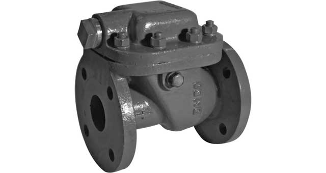 754285 STORM VALVE DIN DUCTILE C/IRON, STRAIGHT W/O LOCK 1208 DN 50