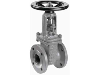 755682 GATE VALVE DIN CARBON STEEL, FLANGED PN10 #309 50MM