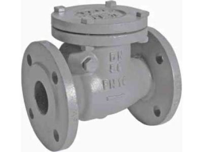 755901 CHECK VALVE DIN C/IRON FLANGED, SWING TYPE PN16 #83BR 40MM