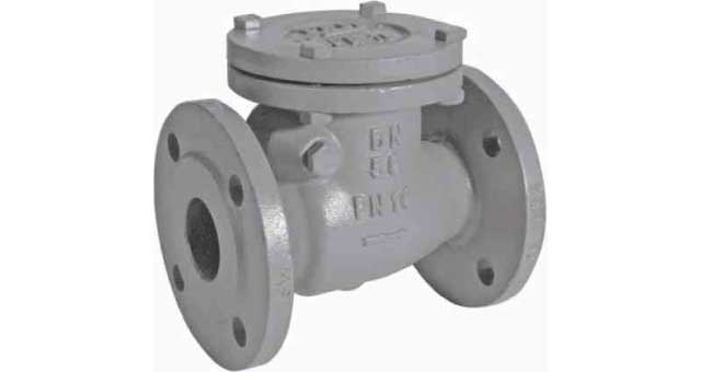 755902 CHECK VALVE DIN C/IRON FLANGED, SWING TYPE PN16 #83BR 50MM