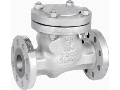 757331 CHECK VALVE ANSI150 CAST STEEL, FLANGED SWING TYPE #1810 2"