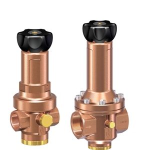 757456 VALVE PRESS. REDUCE W/TREAD, GUNMETAL #684MGSSM DN8